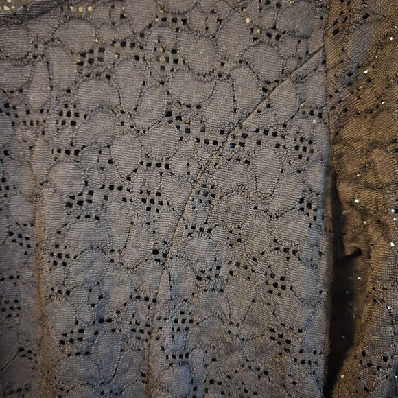 Ambiance Sheer Womens 3XL Black Lace Long Sleeve Blouse Peplum Whimsigoth Goth - Picture 5 of 12